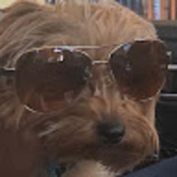 Meet your Posher, Shr00mbean - Picture 1 of 1